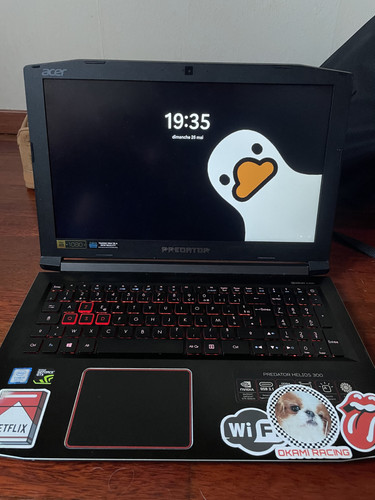 Acer predator helios 300 - predator,