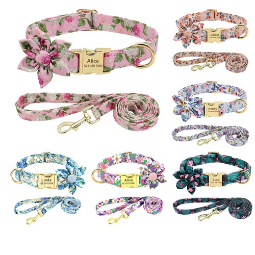 Collier laisse - collier, et