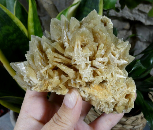 Belle baryte miel crêtée - baryte,