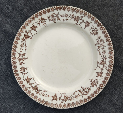 Terre fer grand - terre, plat
