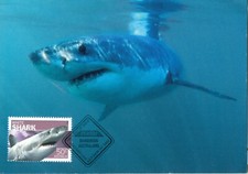 Australia 2006  Maxi Card     White Shark