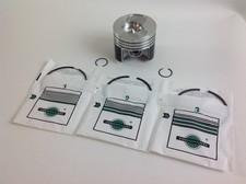 Piston Et Segments + 1,00 87