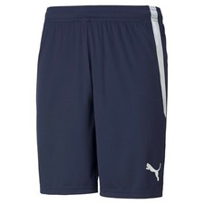 Short Homme PUMA 704924 06