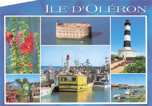 Saint pierre oleron ile d - 17,