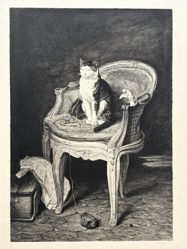 Chat oiseau deux amis gravure - chat,