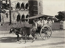 PLAQUE ALU REPRODUISANT UNE PHOTO BOEUFS CHARETTE INDE 1890