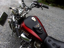 (Sp ) Yamaha Virago XV 1000