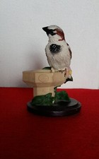 oiseaux de collection