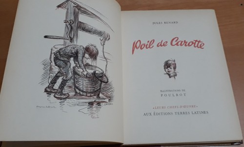 Poil carotte jules - carotte, renard