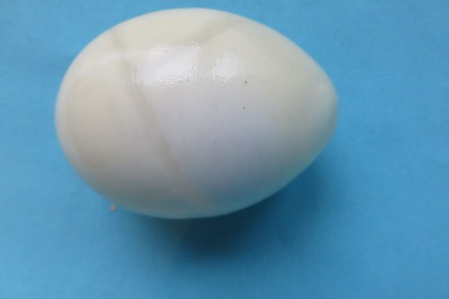 Ancien oeuf collection en - , de