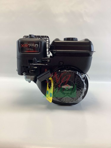 moteur briggs stratton 5hp