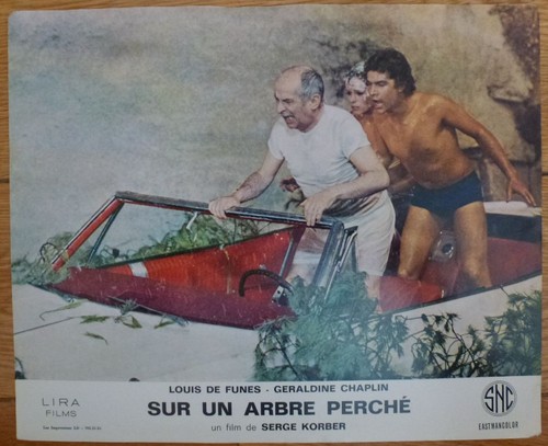 Sur arbre perche - sur,