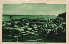 PC IRAQ, MOSSOUL, UN KÉLEK OU