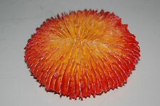 Détaillé 2 X Aquarium Rond Corail Reef Décoration Jaune & Rouge 9 X 2 CM