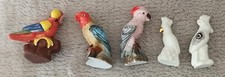 5 Fèves Perroquet Cacatoès Parrot Papagei Pappagallo ?