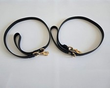 Lot de 2 laisses pour chien