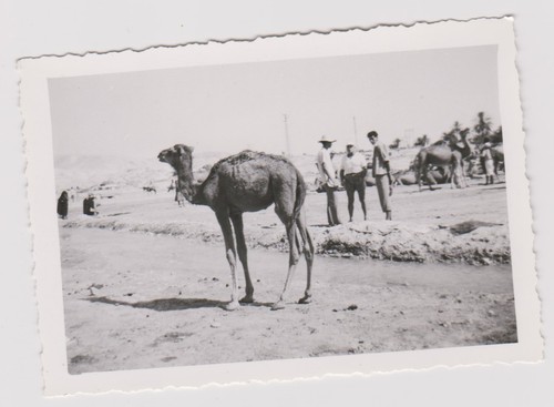 Photo ancienne - photo,