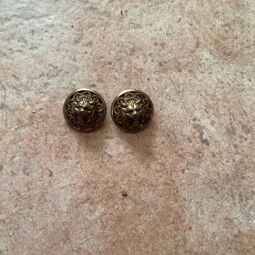 Boutons ancien lion - 2,