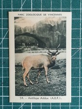 Vr253 chromo parc zoologique