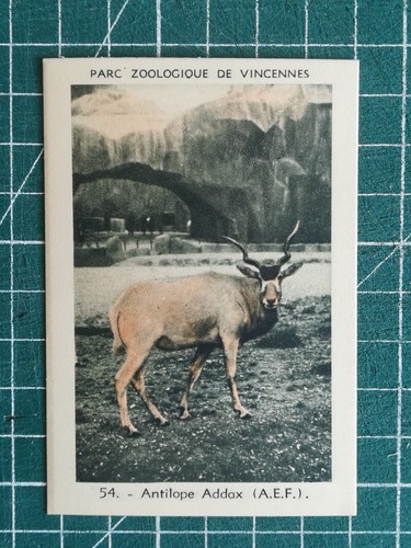 Vr253 chromo parc zoologique