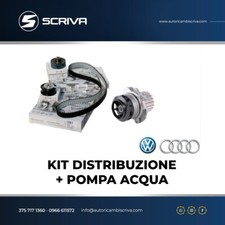Set Distribution Original VW +
