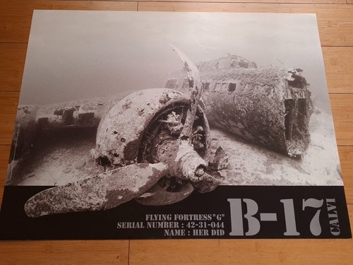 Affiche epave avion - affiche,