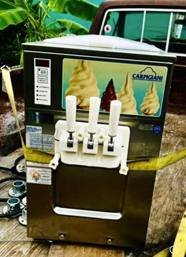 Carpigiani 1131 g - uc, 1131/g