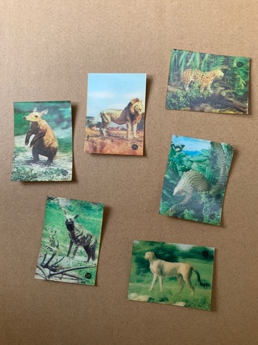Lot images animaux - images,