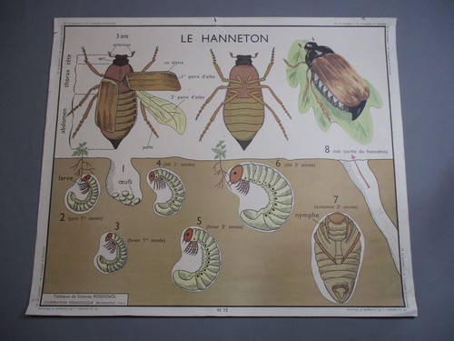 At189 affiche scolaire ecole - affiche,