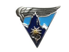 INSIGNE PARACHUTISTE LEGION