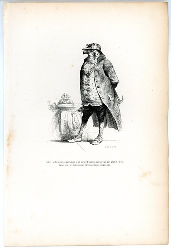Animaux savants granville 1842 - animaux,