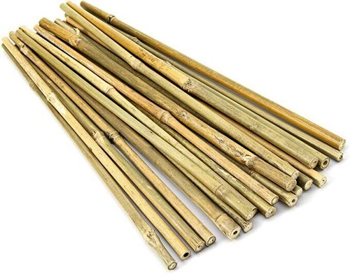 Tuteurs bambou piquets - 50, en