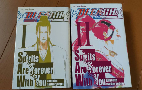 Bleach spirits are - spirits, forever