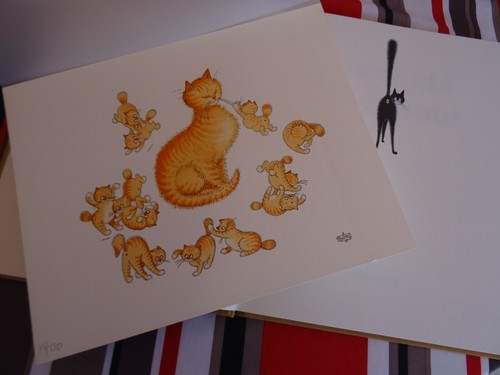 Dubout les chats hoebeke - dubout,