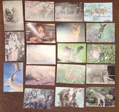 Grandes images collection - grandes,