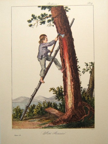 Illustration costume - illustration,