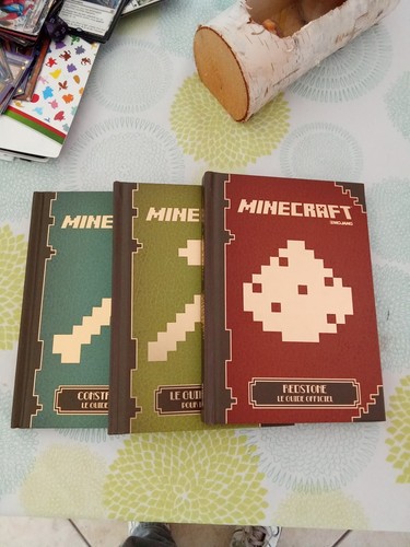 Vend livres guide minecraft - guide,