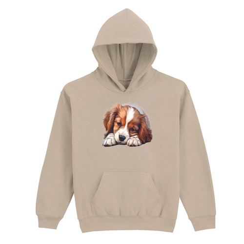 Pull capuche pour enfants - pull,