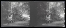 Bois Chemin Paysage c1920 Photo NEGATIVE Stereo Plaque de Verre Vintage V39nL7