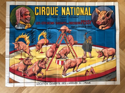 Cirque national les cochons - national,,
