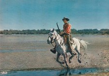 CPSM EN CAMARGUE AVEC LES
