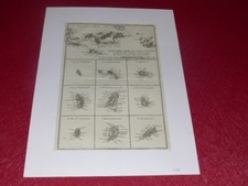 [CARTE GEOGRAPHIQUE XVIIIe]