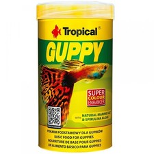 TROPICAL Guppy