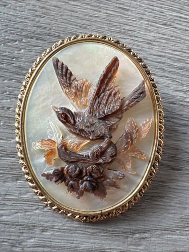 Superbe broche ancienne camée - broche,