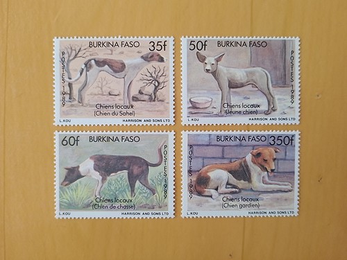 Burkina faso chiens locaux - burkina, mnh