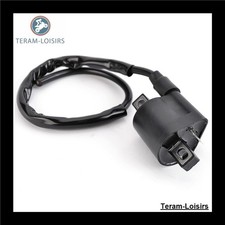 Bobine Allumage pour Yamaha