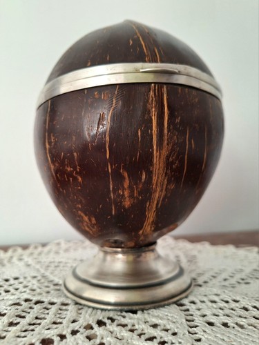 Noix corozo montée en - noix, de
