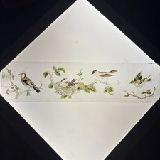 lanterne magique Oiseau