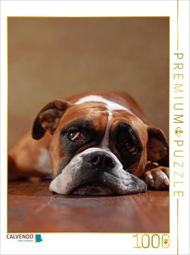 Puzzle calvendo maja ans - 3,