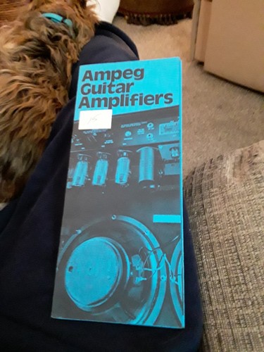 Ampeg amplifiers cool - ampeg,